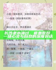 长沙，柔水漫过，疲惫散却——心灵与自然的深度对话