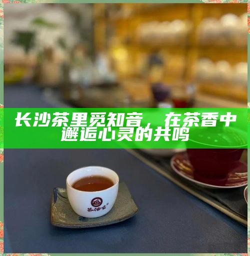 长沙茶里觅知音，在茶香中邂逅心灵的共鸣